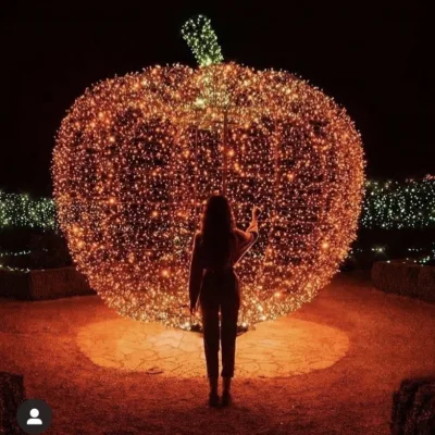 High Quality 10 20 LED Halloween Decorative Lighting Led Halloween Pumpkin Decoration