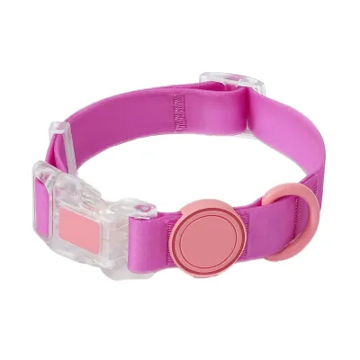 Length with Strong D-Ring for Leash Attachment, Durable Stitching and Quick-Release for Daily Walks, Webbing Small Dog Collar