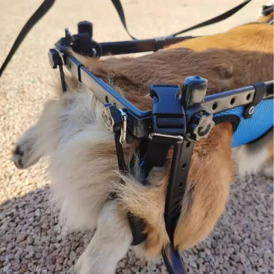Adjustable Pet Dog Wheelchair Small Dog Wheelchair for Back Legs Adjustable Dog