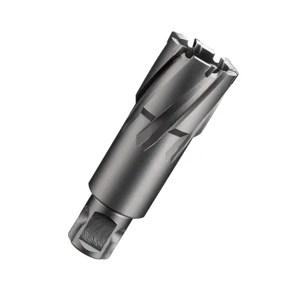 High Quality Carbide Metal Drill Bit Weldon Shank Tct Annular Cutter