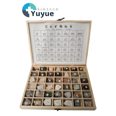 42PCS Rock & Mineral Specimens Collection in Wooden Box, Geology Teaching Kit for Education