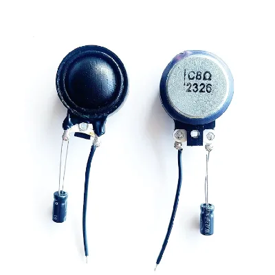 High Quality 8ohm 10W 25*14mm Sound Equipment/Amplifiers/Speakers Micro  Audio Tweeter Driver Unit Silk Dome Tweeters Speakers
