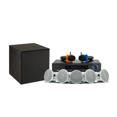 Celling Speakers Home Theatre Speakers Karaoke 2Inch Atmos 5.1  OEM ODM 8Ohms 30W High Power Home Cinema