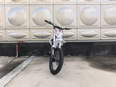 2026 Newly Cheaper 125cc 4stroke Dirt Bike Pitbike for Adult with CE