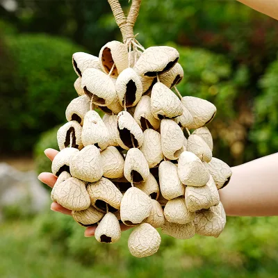 Fruit shell bell, African plant fruit bracelet, foot bell string, dance accompaniment, ethnic music concert, hand cranking