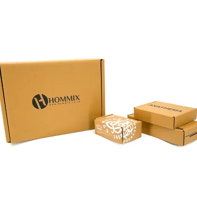 Recyclable Material Aircraft Box Custom Pit Box Corrugated Carton Gift Clothing Cosmetics Electronic Color Box Packaging