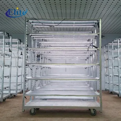 Heavy-Duty Mobile Greenhouse Cart with Integrated LED Grow Lights for Hydroponic Seedling and Plant Transport