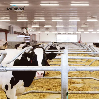 Energy Efficient LED Tube for Agricultural Use 1500mm Non-Flicker Poultry Farm Cattle Cow Use Milk Cow