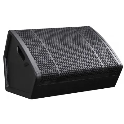 Dragonstage Professional Stage Monitor Speaker Series | Passive & Active Floor Monitor Speakers for Live Performance