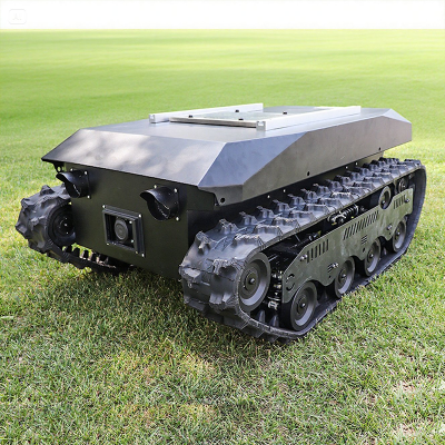 Off Road Adult Electric Car High Performance Tracked Vehicle