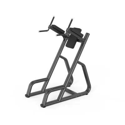 Professional Vertical Knee Raise Station Commercial Abdominal Core Training Dip Stand Gym Strength Fitness Machine Set