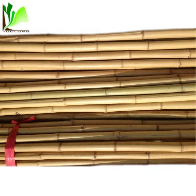 Decorating with Bamboo Stalks Supplier