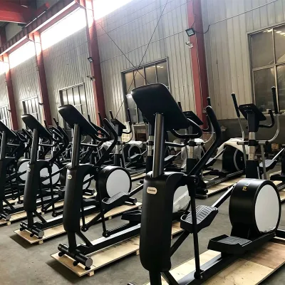 WENDY Exerciser Elliptical Machine Stepper High Performance Magnetic Control Elliptical Exercise Machine