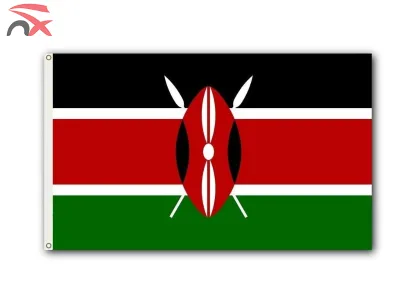 Hot Selling Manufacturer New Fade Resistant Polyester 3x5ft Country Kenya National Flag for Outdoor