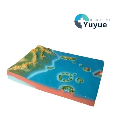 Large Island Formation Demonstration Model, 3D Geology Teaching Aid for Geography Education