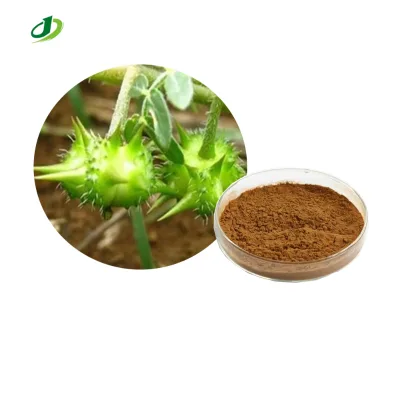 100% Tribulus Terrestris Extract Powder 40% Saponin Lagerstoemia Spesiosa L Extract
