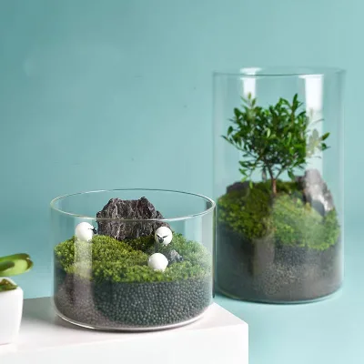 Various Sizes Storage Tank Cylinder Succulent Pot Planter Container Landscape Flowers Glass Vase for Home Office Decoration