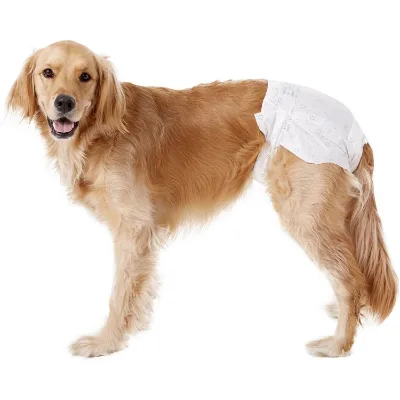 Low MOQ  Cheap Absorbent Disposable Pet Puppy Dog Diaper