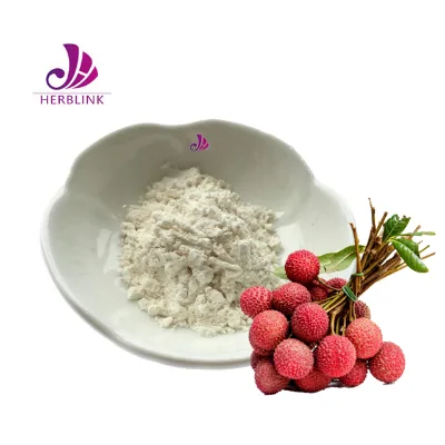 Wholesale Natural Bulk Freeze Dried Litchi Powder Lychee Fruit Powder