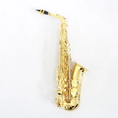 High Grade Brass Alto Saxophone Gold Lacquered Body Leather Pad Saksafon for Student Beginner Players
