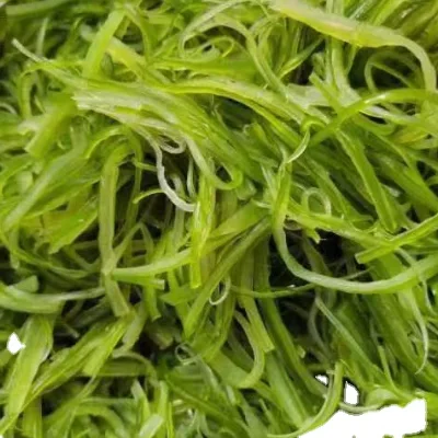 Frozen Wakame Stem Salted for Frozen Wakame SaladS Frozen Seaweed Prepared Seasoned Wakame Chuka Wakame Salad