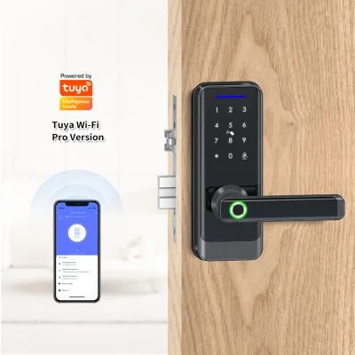 Black Tuya Wifi APP Control Smart Lock Single Latch Electronic Door Lock Knob Lock Substitute Electronic Lock