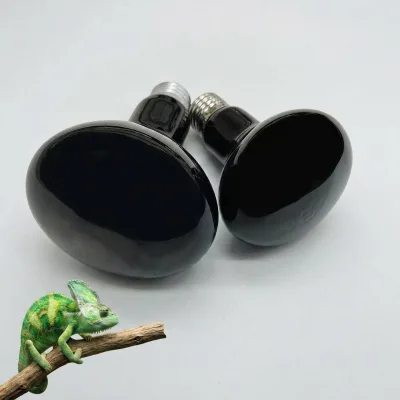 Popular R80 Infrared Heating Light Red Coating Reptile Pet Thermal Bulb