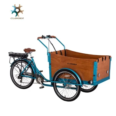 EN15194 26" Strong Frame Electric Cargo Bike Tricycle in Three Wheels with Disc Brake for Sale