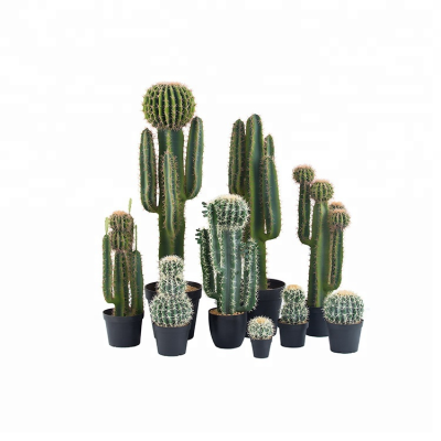 High Quality Custom Decorative Large Size Faux Cactus Artificial Cactus Plants