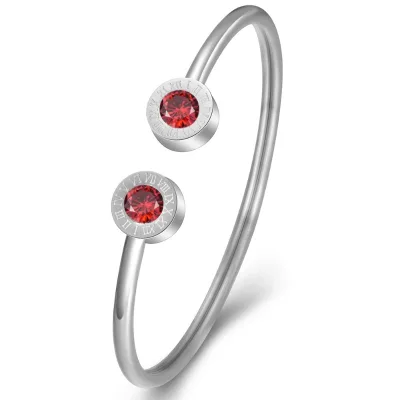 PDANY Luxury Stainless Steel 12 Birthstones Bracelet Silver Roman Numeral Women Bangle Jewelry