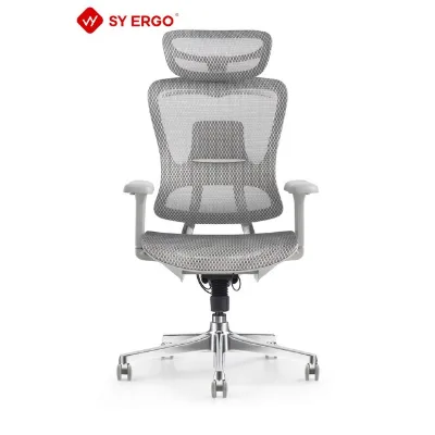 High Back Executive Mesh Ergonomic Office Chair with Adjustable Headrest