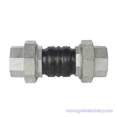 DN15 DN20 DN25 DN32 DN40 DN50 DN65 DN80 JGD B Threaded Type Rubber Joint for Hot Water Oil Acid Alkal