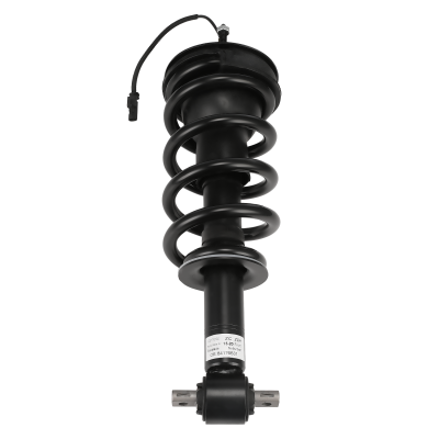 Electric Shock Absorber