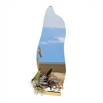 Frameless Organic Shape Mirror Floor Standing Wall Mounted Full Length Decorative Mirror for Living Room Bedroom Hotel