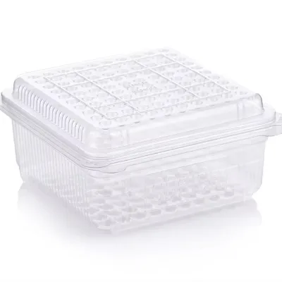 Disposable Storage Box for Vacuum Blood Tubes K2/K3 EDTA Tube