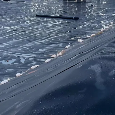 African Gold Mine Slag Wastewater Treatment Plant Original LDPE Geomembrane 1mm Geomembranes Supplier Factory Preferential Price