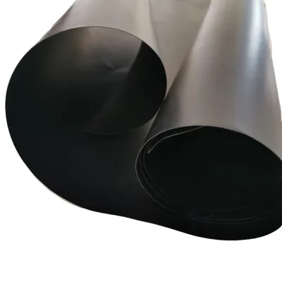 HDPE Geomembrane Waterproof Membrane for Artificial Lake