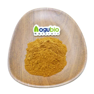 Factory Price Aogubio Supply OEM ODM Organic Maitake Mushroom Powder