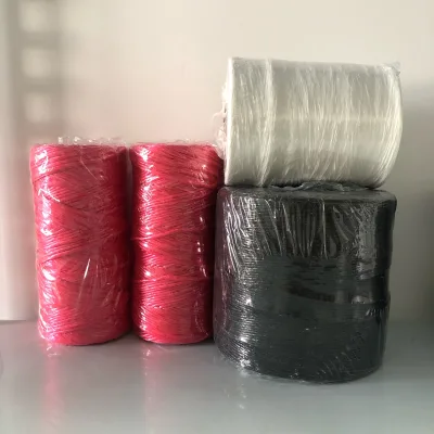 Hot Sale High Quality 1Lbs 2 Lbs 3Lbs Agriculture Pp Baler Twine Raffia Twine From Jiangsu