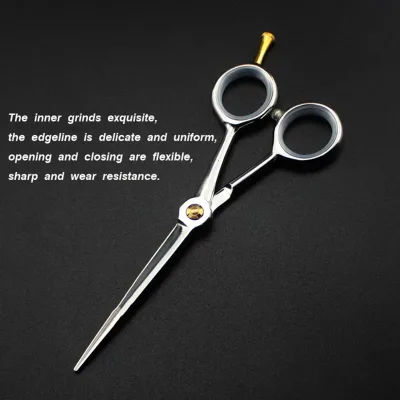 Professional Fire Dragon JP 6CR13 Stainless Steel 5 Inch Right-Handed Upscale Hair Scissors for Barber Cutting Shears