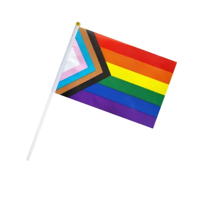 Wholesale Progress Pride Hand Flag Rainbow Mini Flag Small Handheld Parade Flags Festival Party Decoration Promotional Supplies