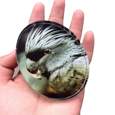 Factory Shaped Oval Crystal Glass Paperweight Color-Printed Crafts Gift Vintage Product
