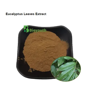 Best-selling Natural Eucalyptus  Leaves Extract 10:1 Eucalyptus  Leaves Powder Eucalyptus  Leaves