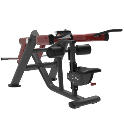 Advanced Type Gym Equipment Rosen Fitness Bodybuilding Strength Training Arm Exercise Seated Dip for Gym Centre