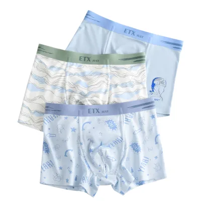 Top Quality Breathable Quick Dry High Elastic Boxers Shorts Custom Men Teenage Boys Underwear