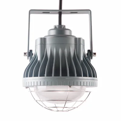 Manufacturer's Wholesale 30W 60W All-in-One Die-Cast LED Explosion-Proof Outdoor Lamp Aluminum Glass Body IP65 NEMA 4X AC