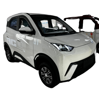 Hot Selling Brand Car New Energy Vehicles Price 3000W Motor
