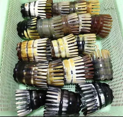 White Yak Horn Half Hair Comb Massage Hair Comb Horn Tube Comb