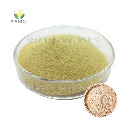 Wholesale Price High Protein Pure Natural Extract Bulk 90% Quinoa Protein Powder