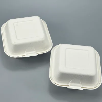Wholesale 6 Size White Pulp Sugarcane Bagasse Clamshell Burger Box Compostable Takeaway Food Takeout Lunch Packaging Box